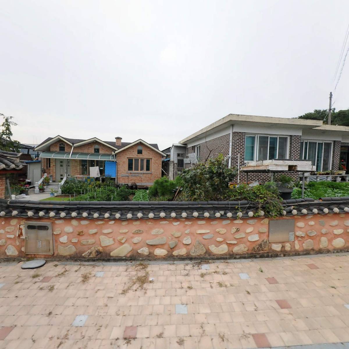 씨스터언트