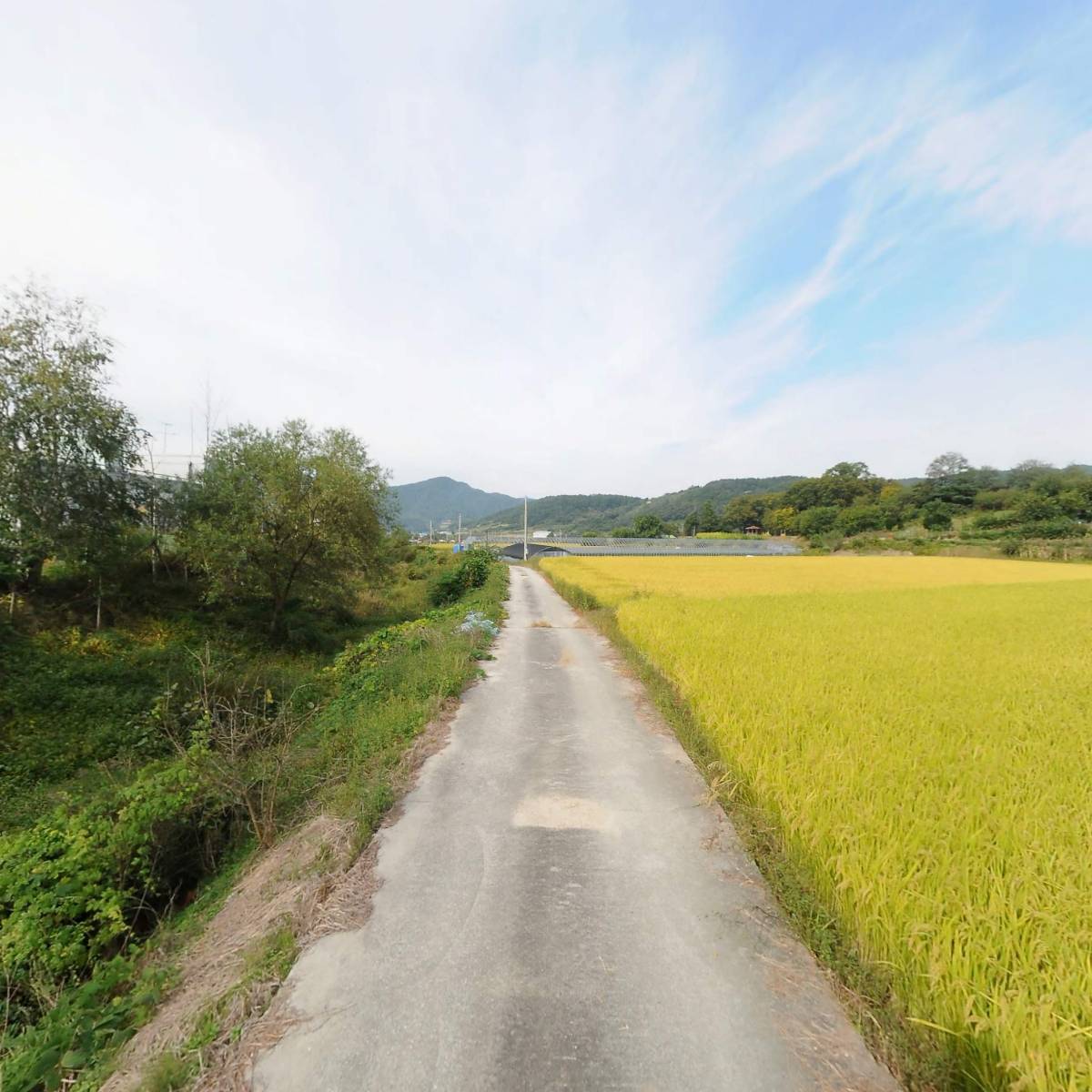 （주）천본_2