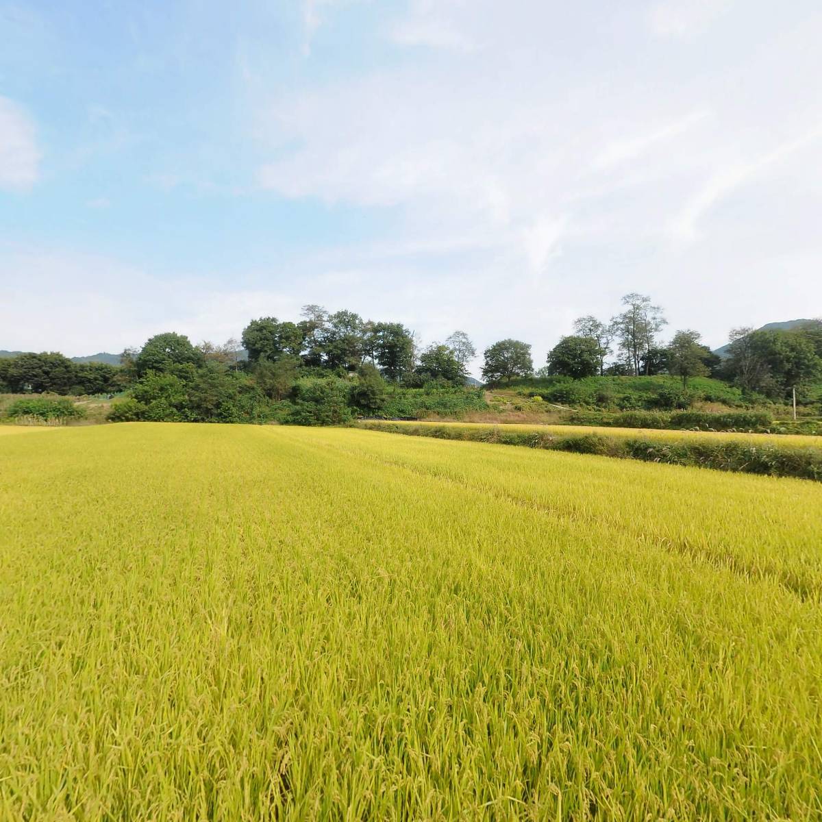 （주）천본_3