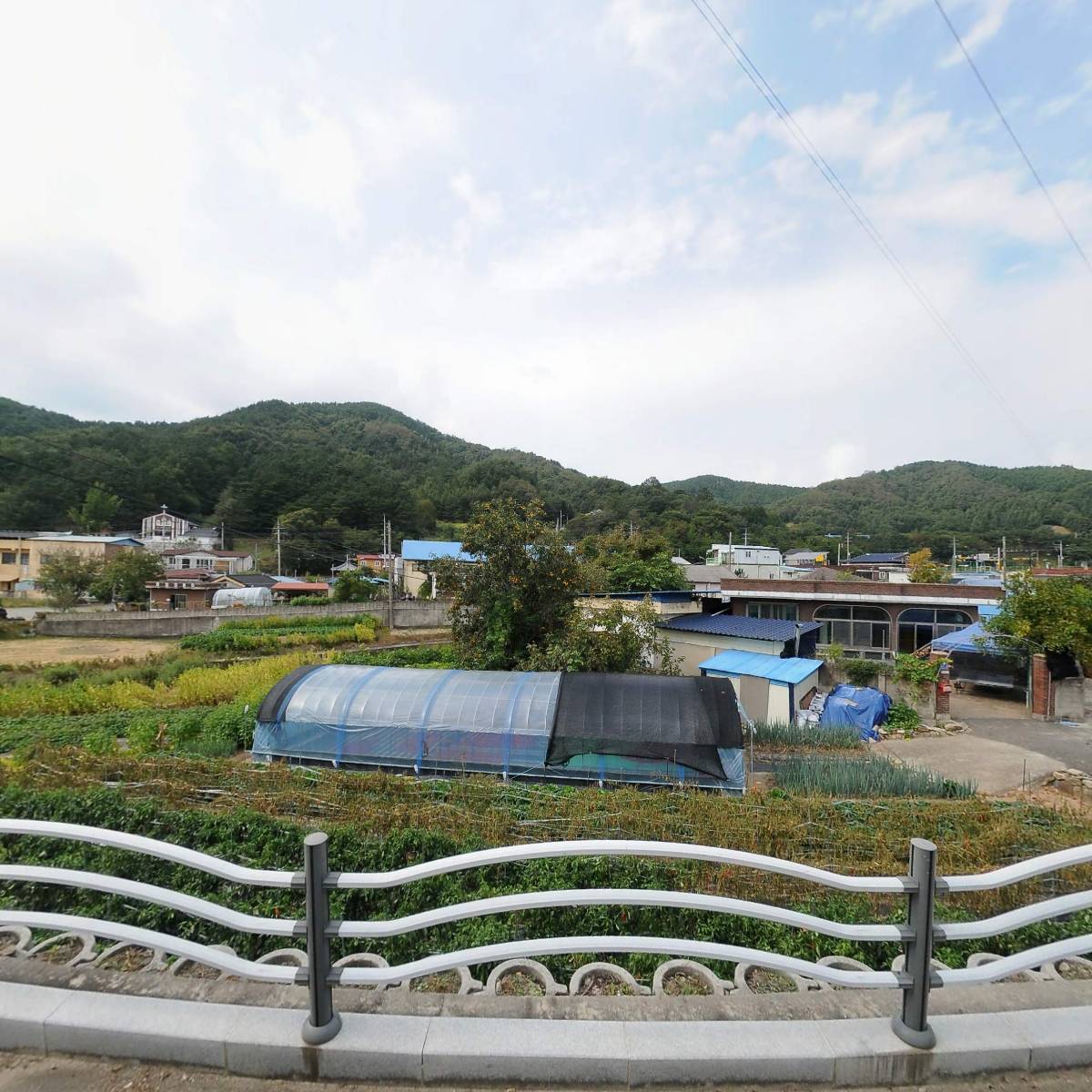 장수 베리굿팜 영농조합법인