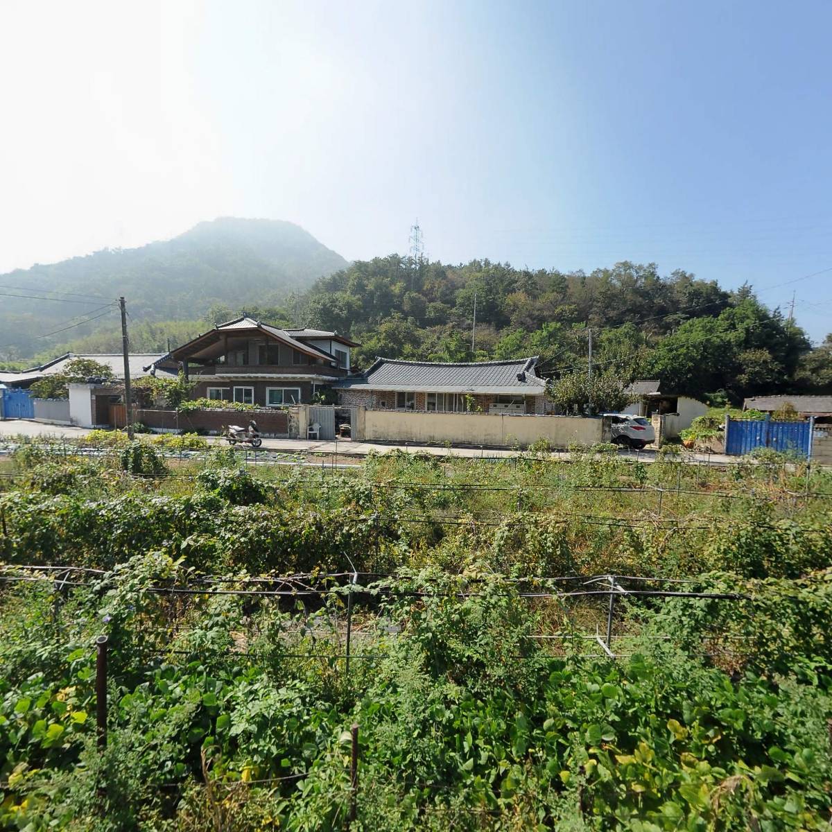 행단제