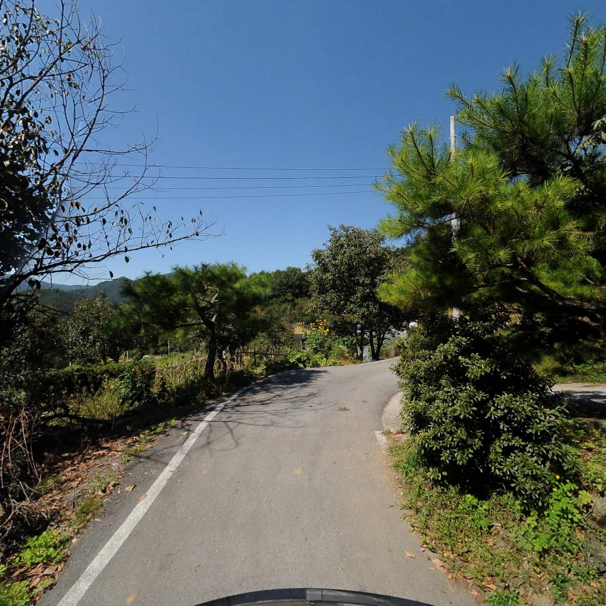 롯데택배 유성용산 대리점_2