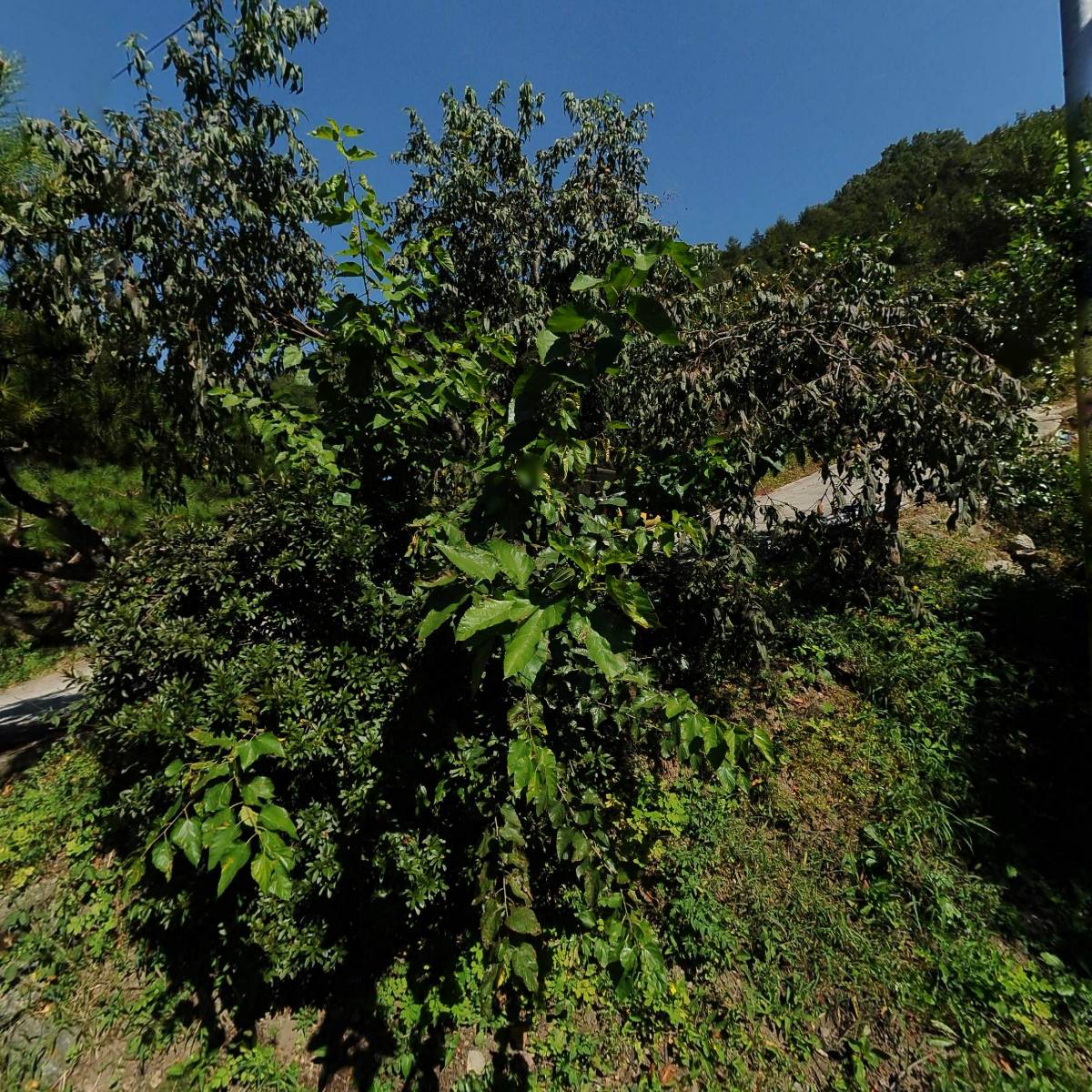 롯데택배 유성용산 대리점_3