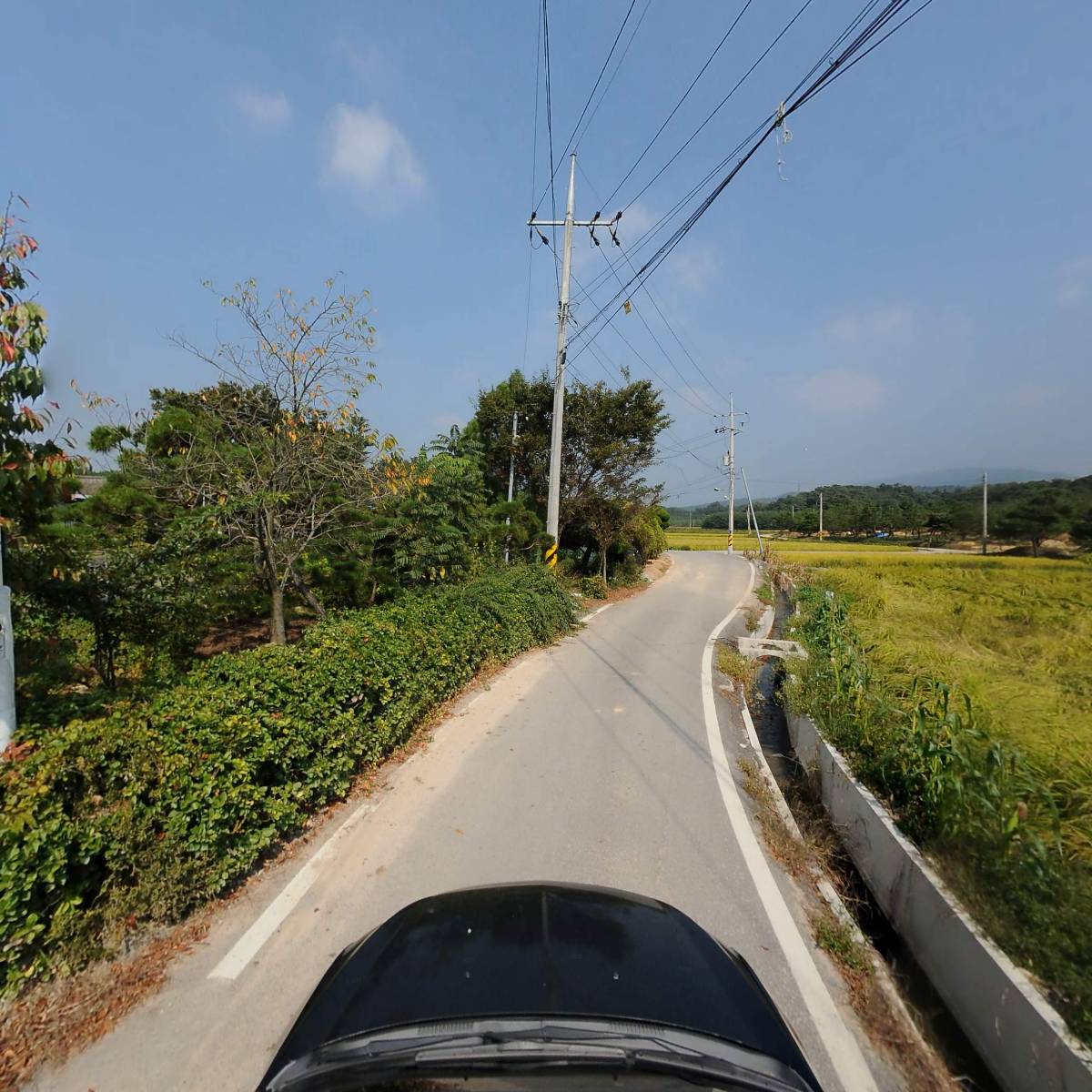 주식회사 베어드림_4