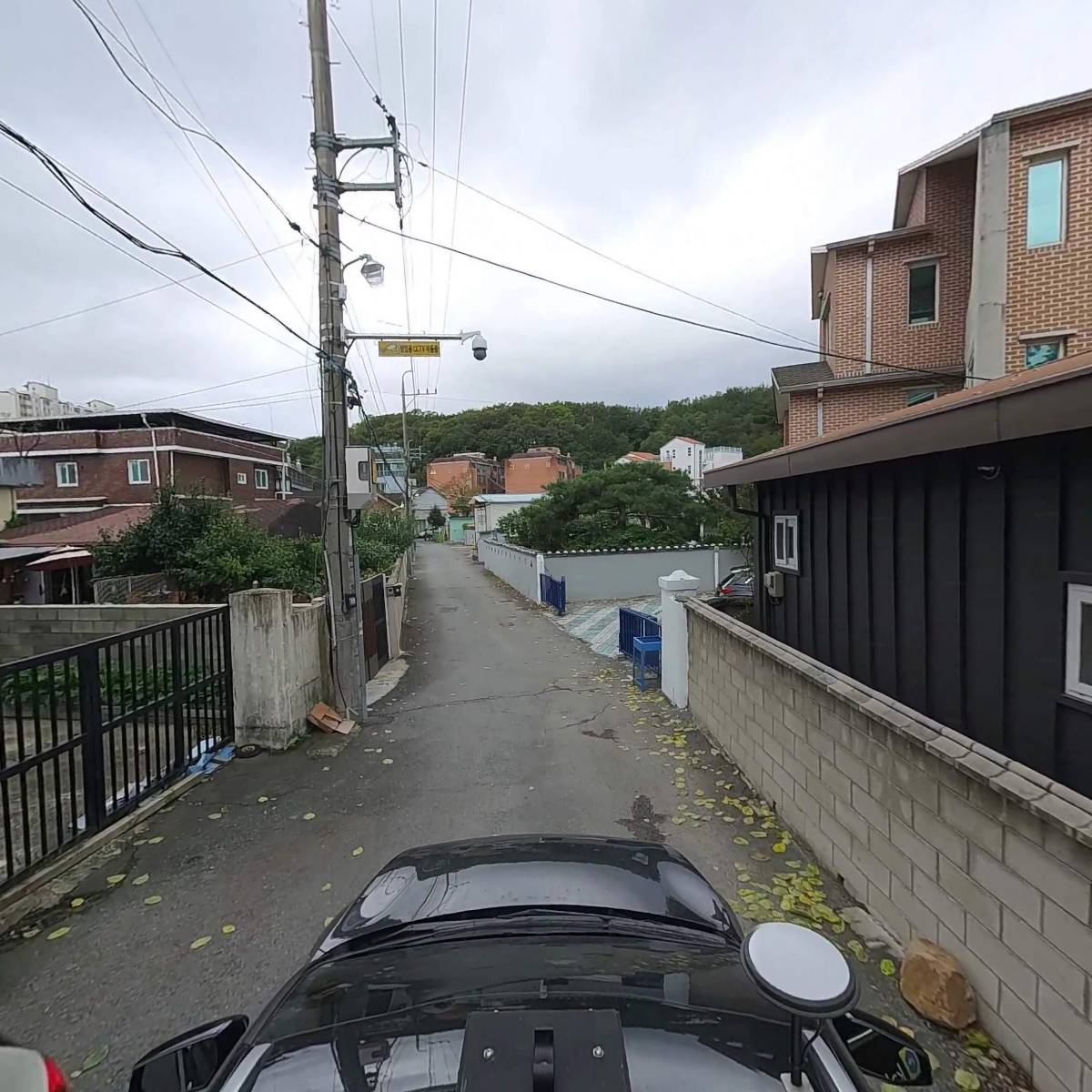 지네이션_4