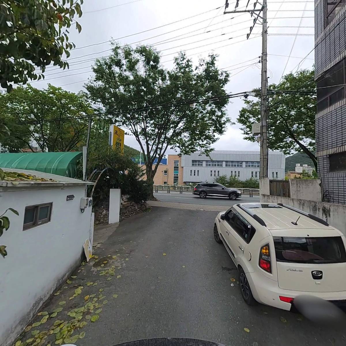 지네이션_2