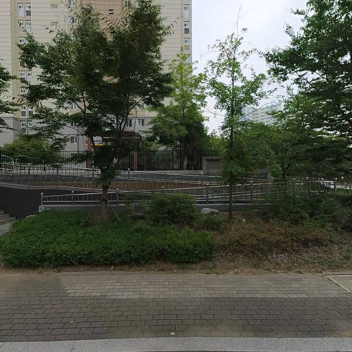 뼈큰감자탕 금호지구점
