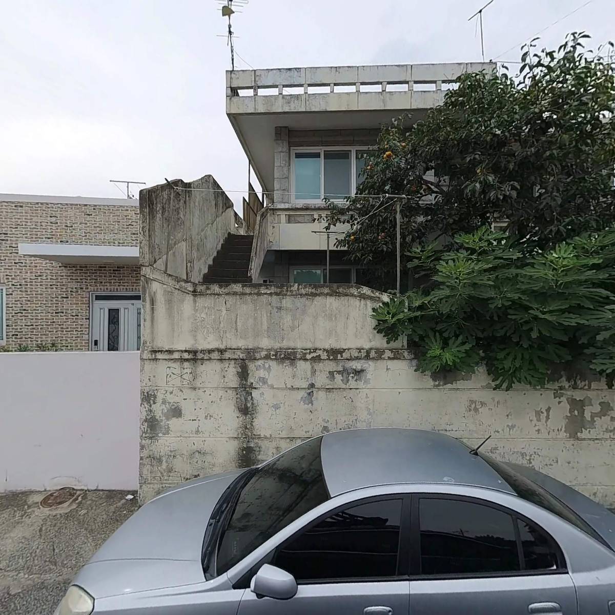슈퍼마켓 자연숲 월산점_3