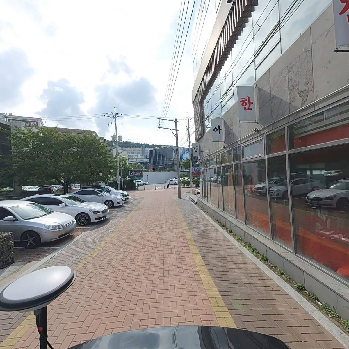 돌피노_2