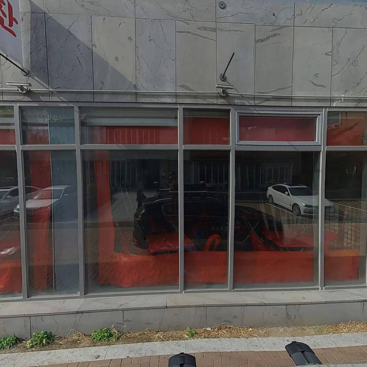 돌피노_3