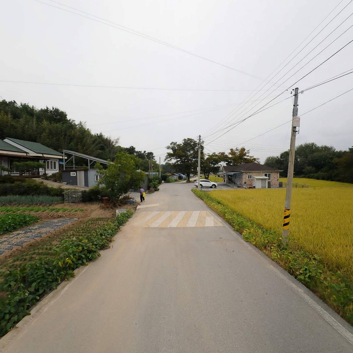 경기화학비료김제대리점_2