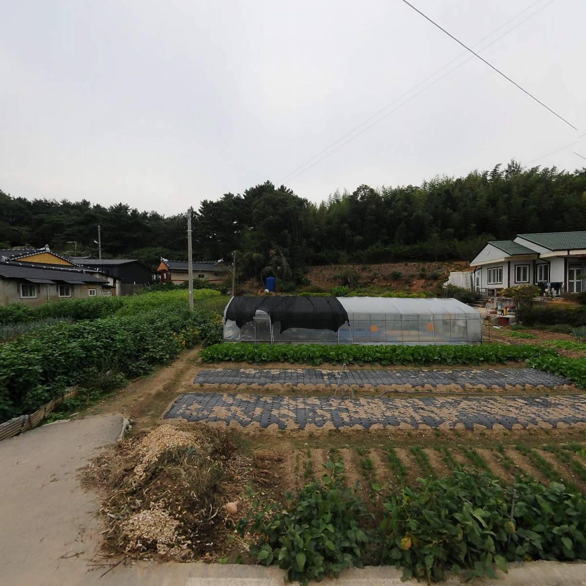 경기화학비료김제대리점