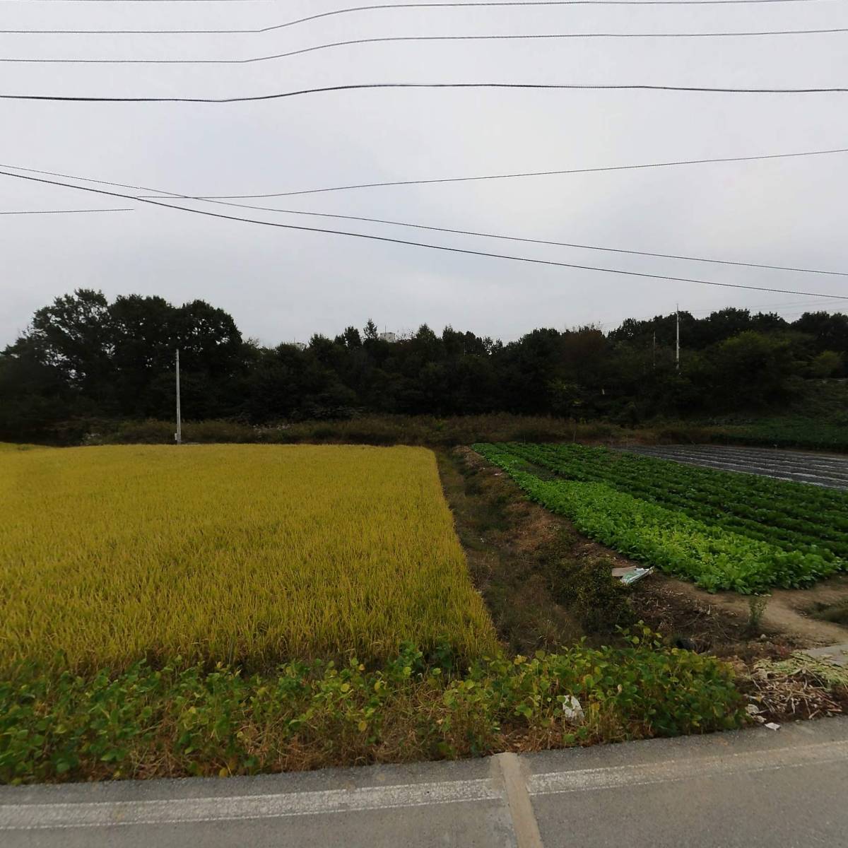 경기화학비료김제대리점_3