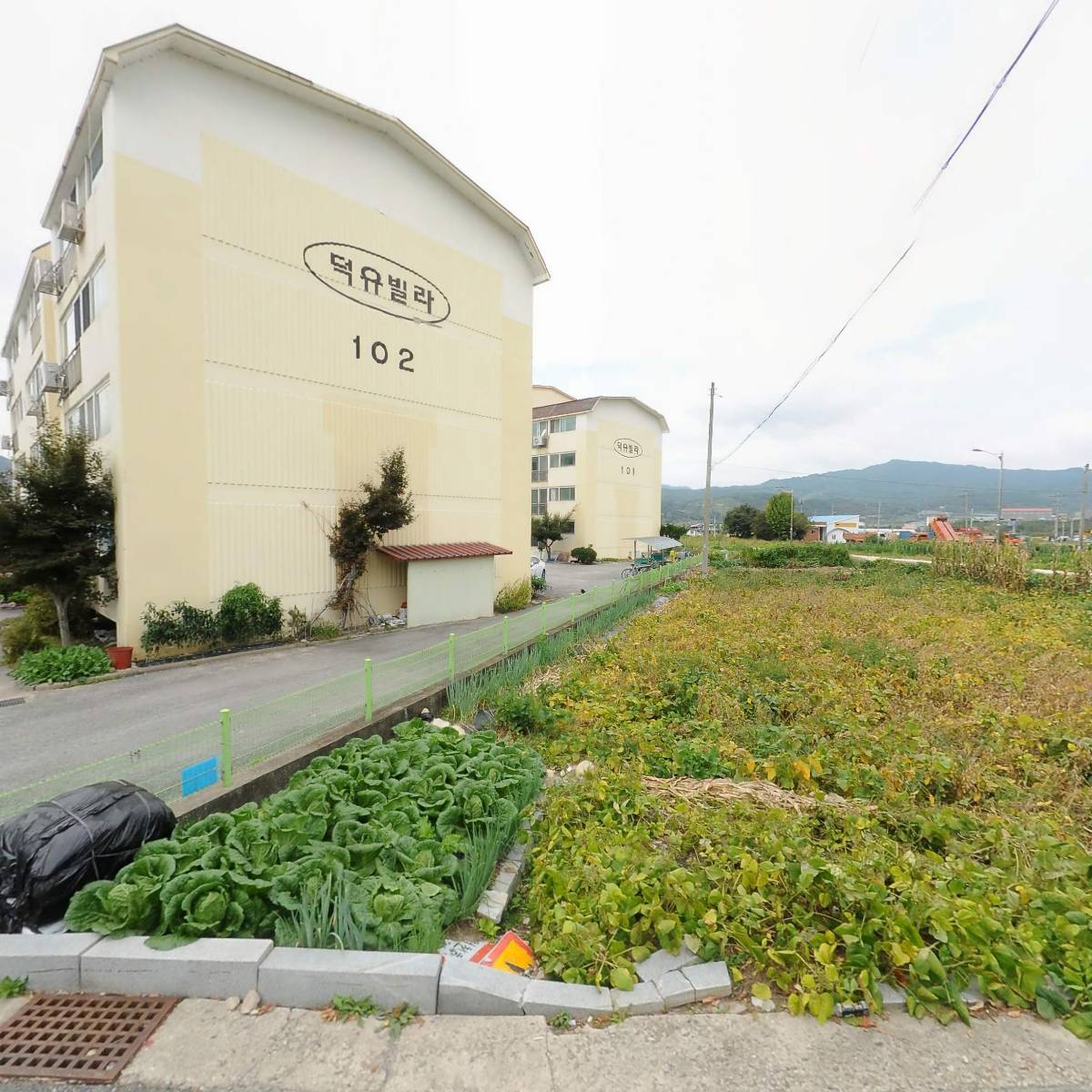 장계면사무소_3