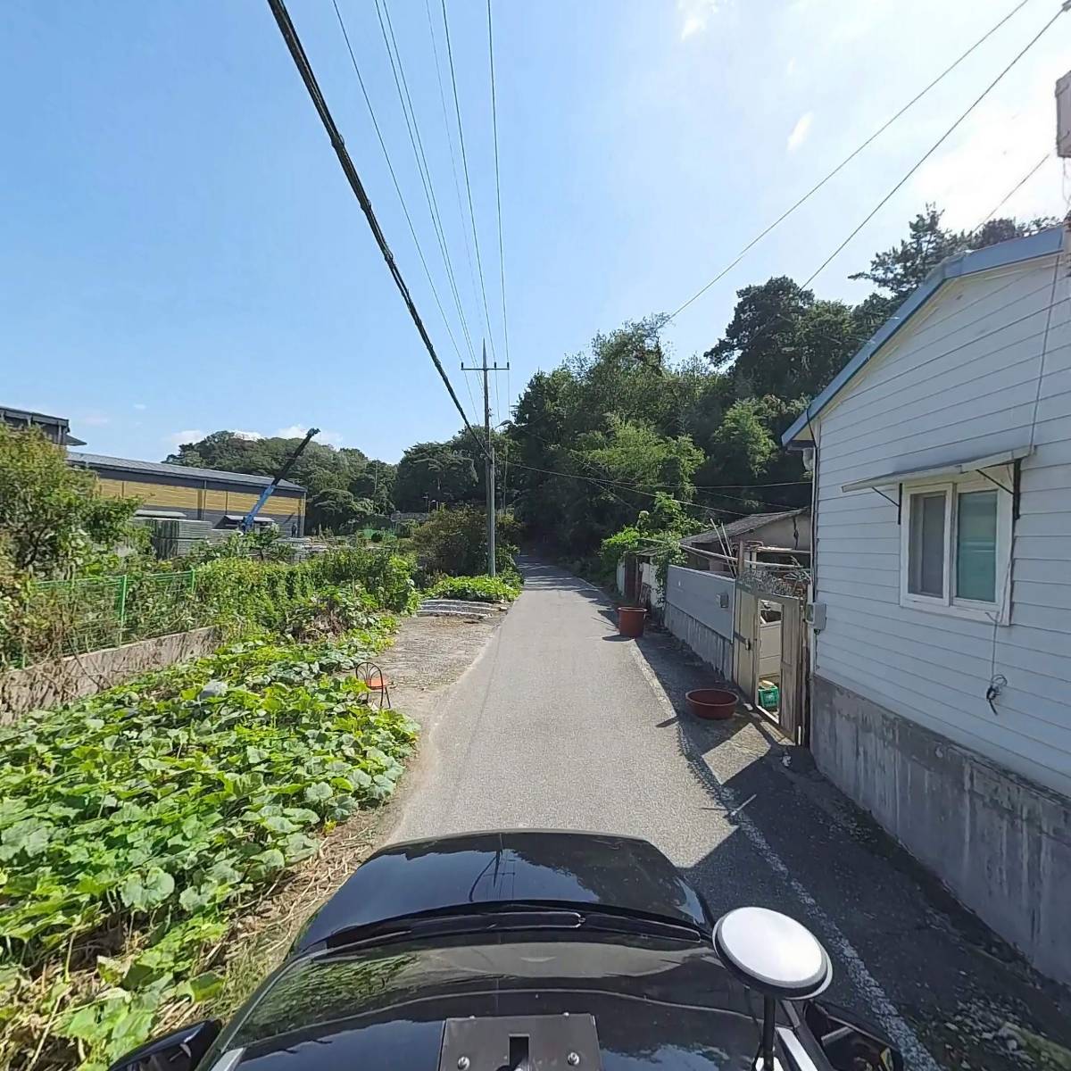 보담_4