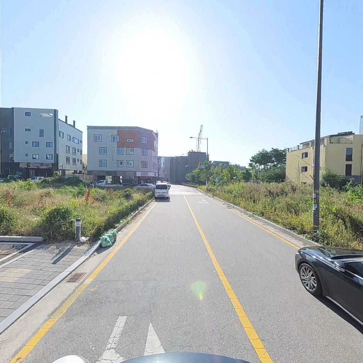 노브펩_2