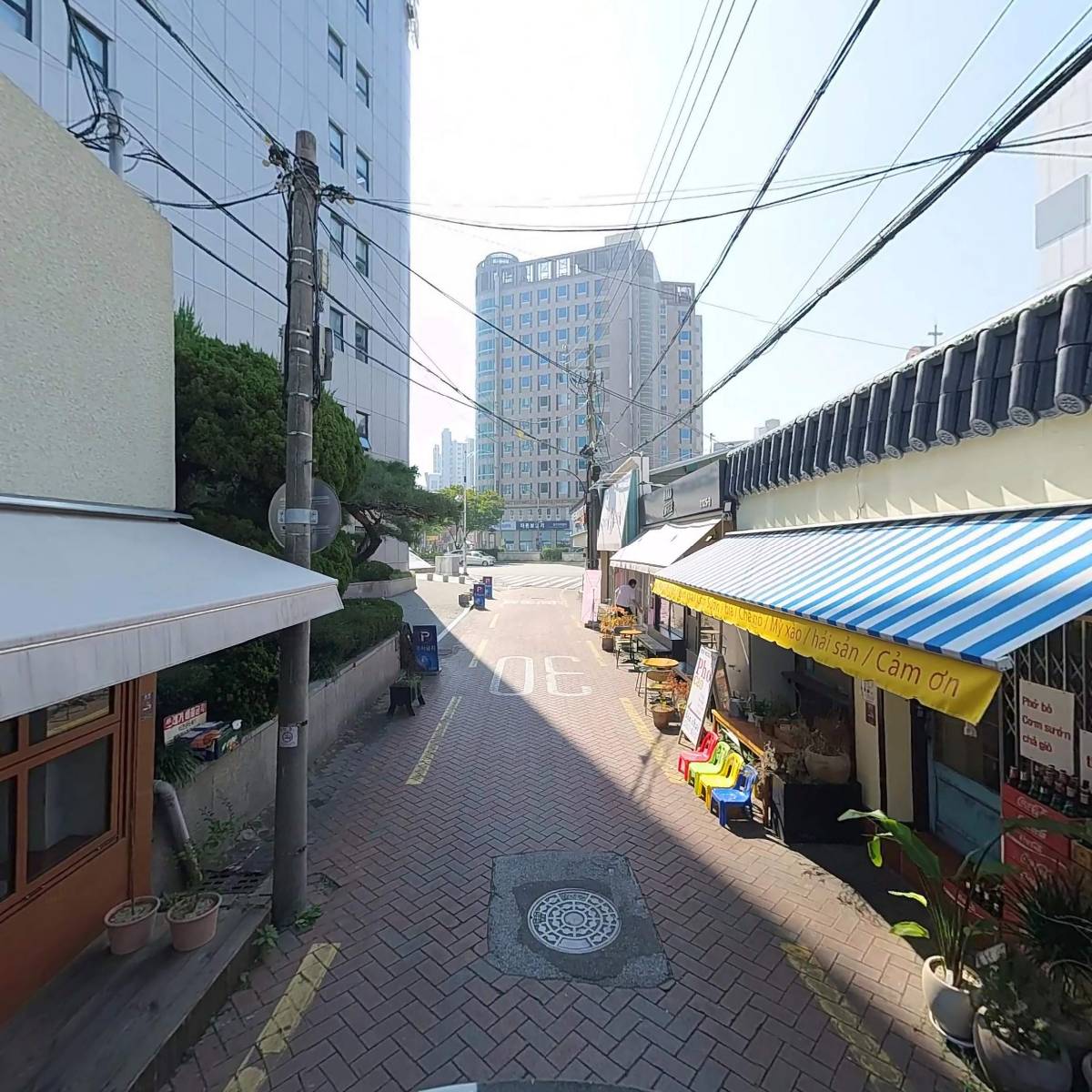 까오_2