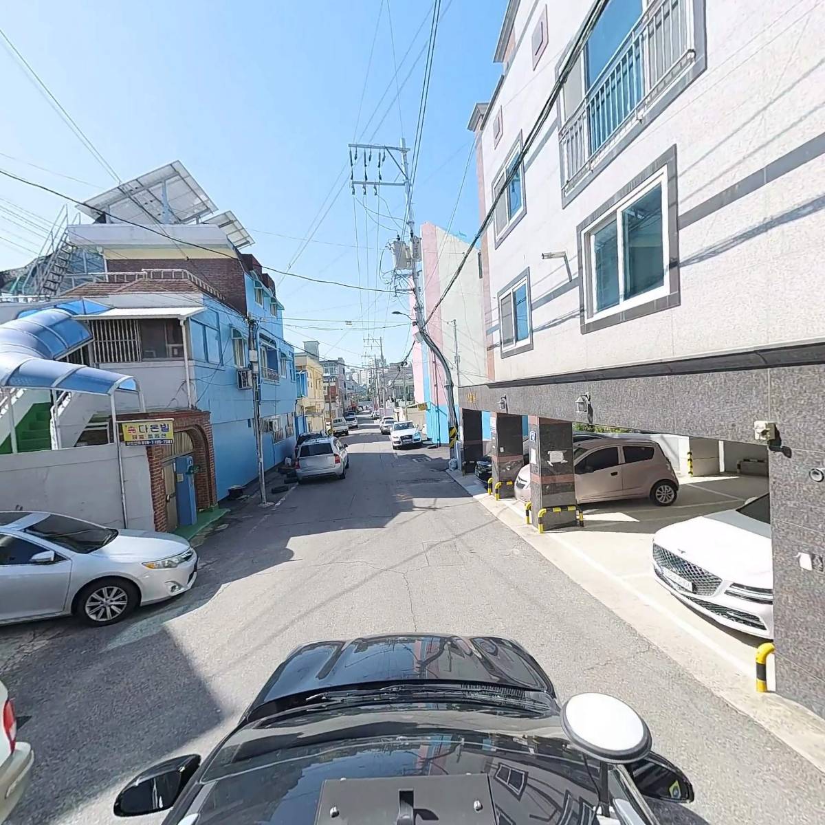 무등산림(벌목)_4