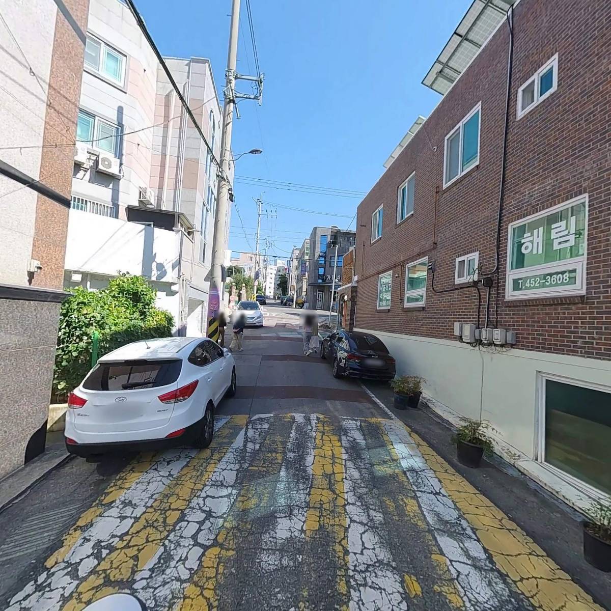 무등산림(벌목)_2
