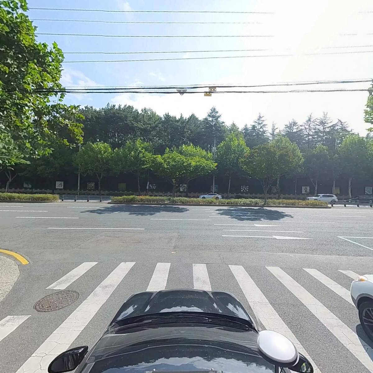 영천한우식객_4
