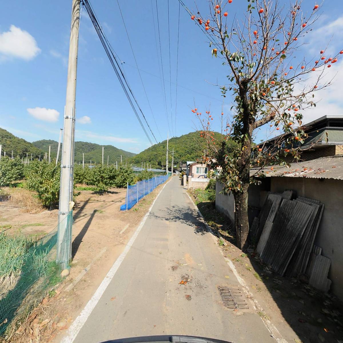 천안 전씨 문효공 고죽 종중_2