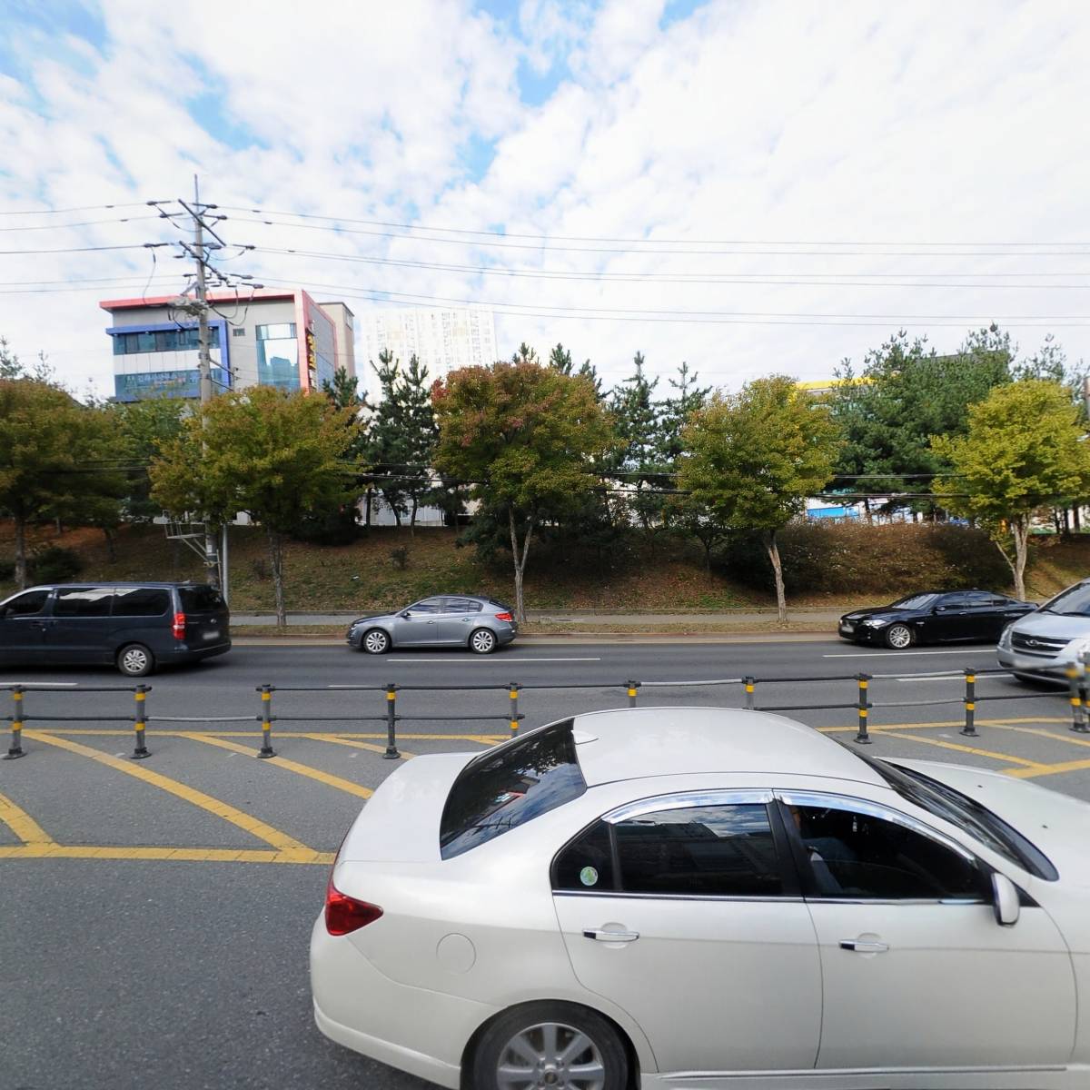 시디즈 포항장성점_3