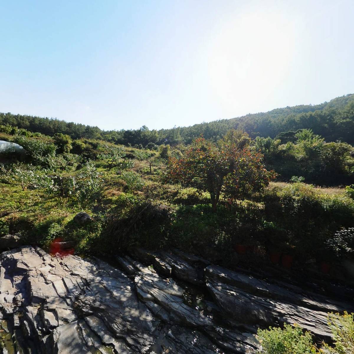 대한불교조계종 본원사_3