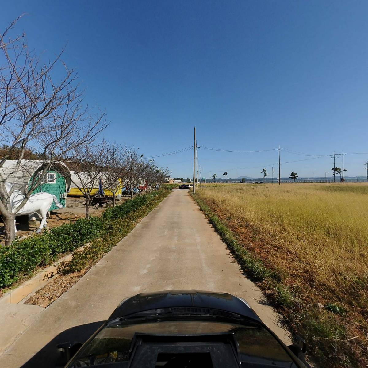 간월도캠핑장_4