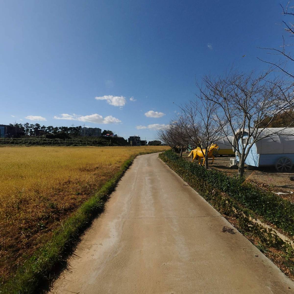 간월도캠핑장_2