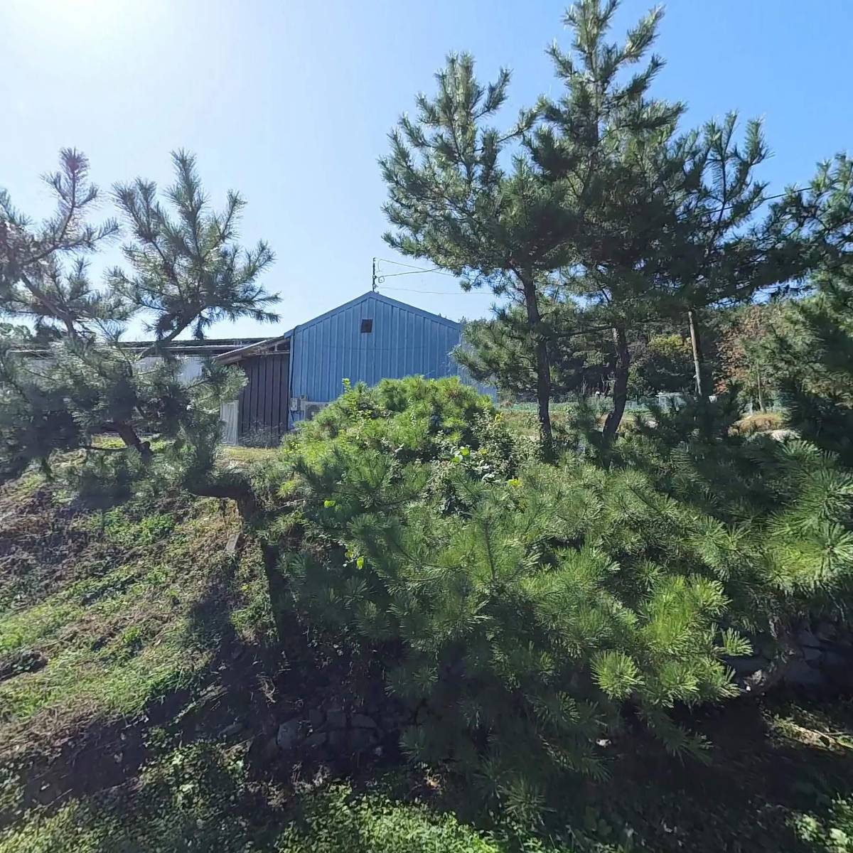 울산EDA승마장