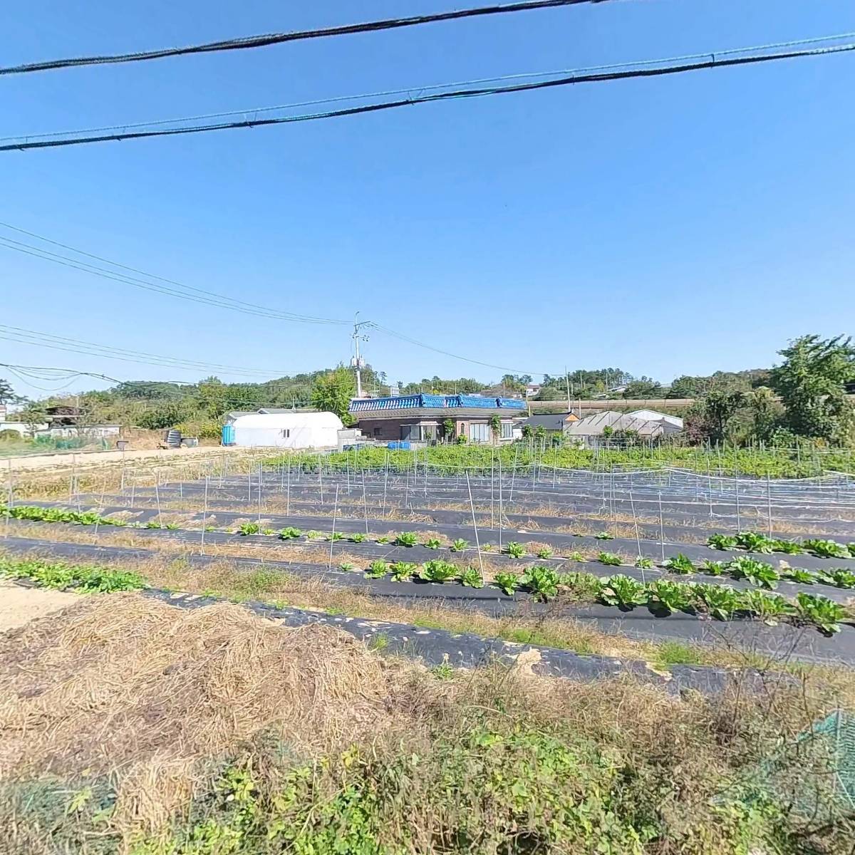 울산EDA승마장_3
