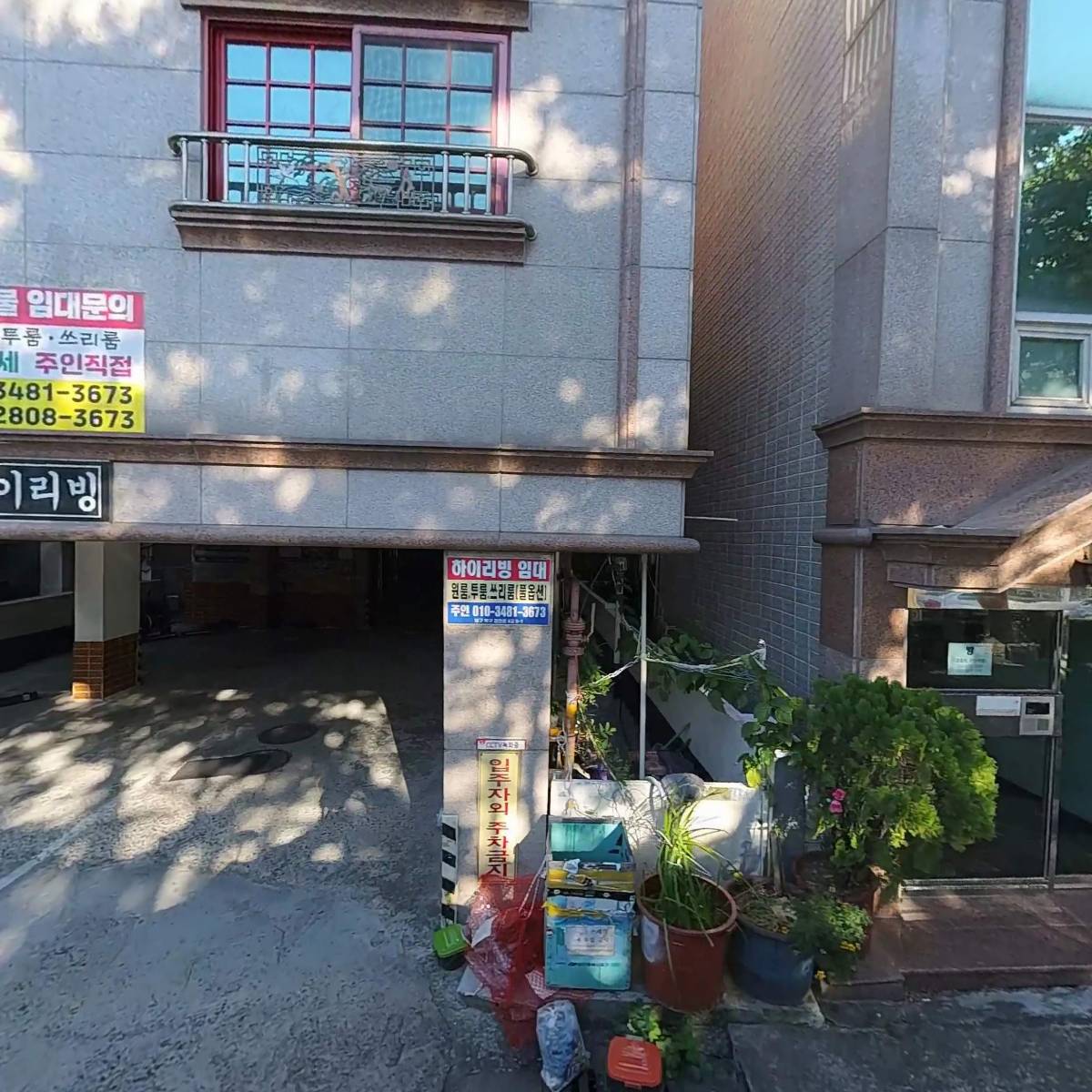 엔트란스라이브