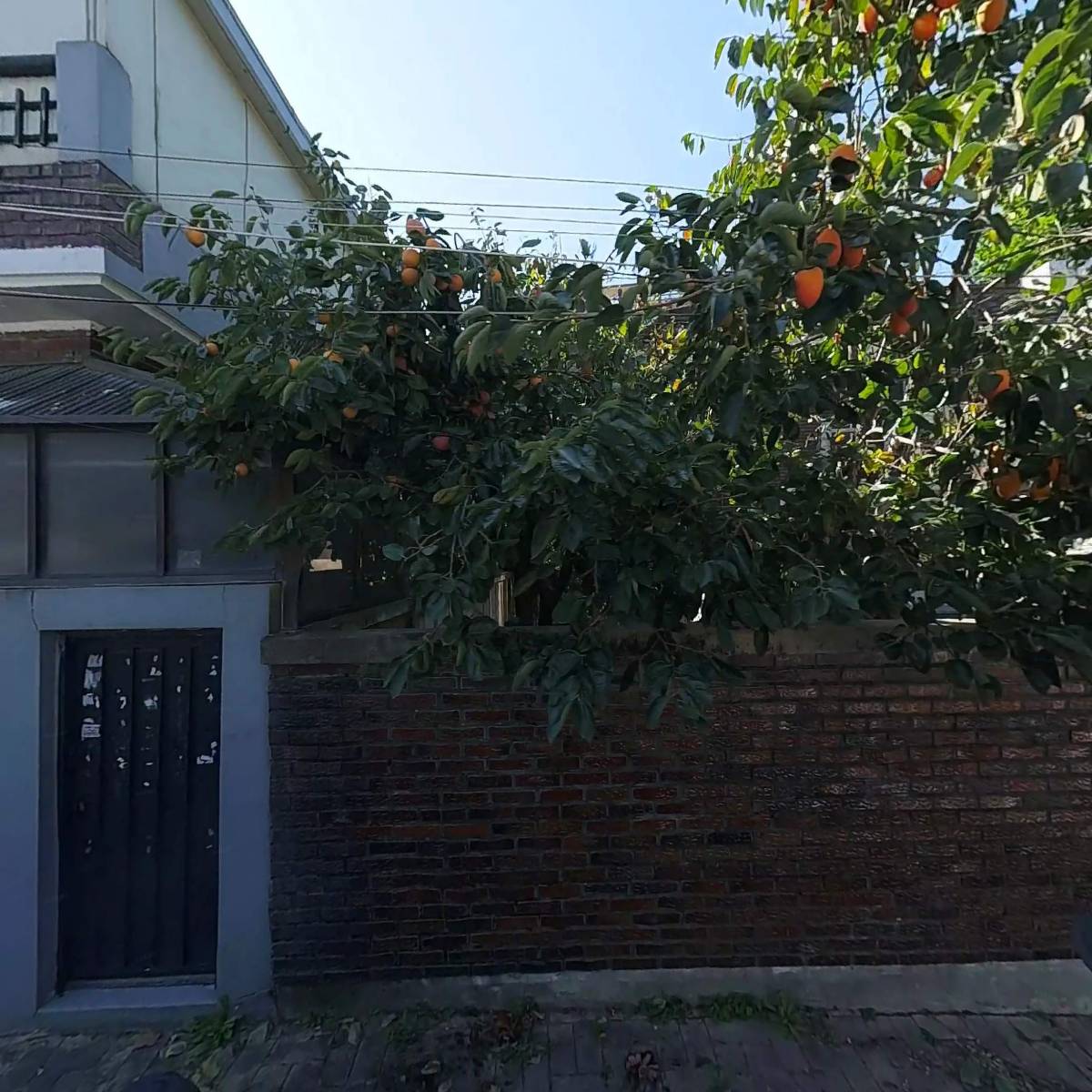주신메드