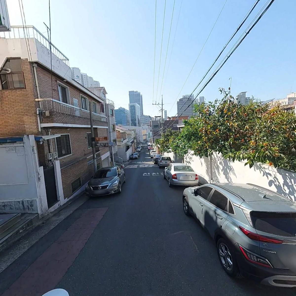 장백_2