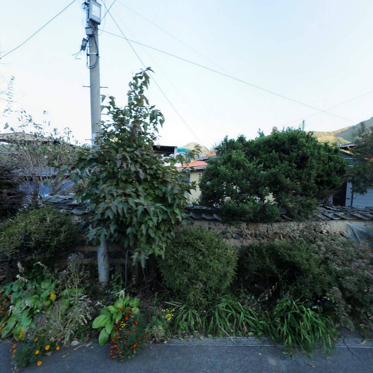 보보스(BOBOScompany)