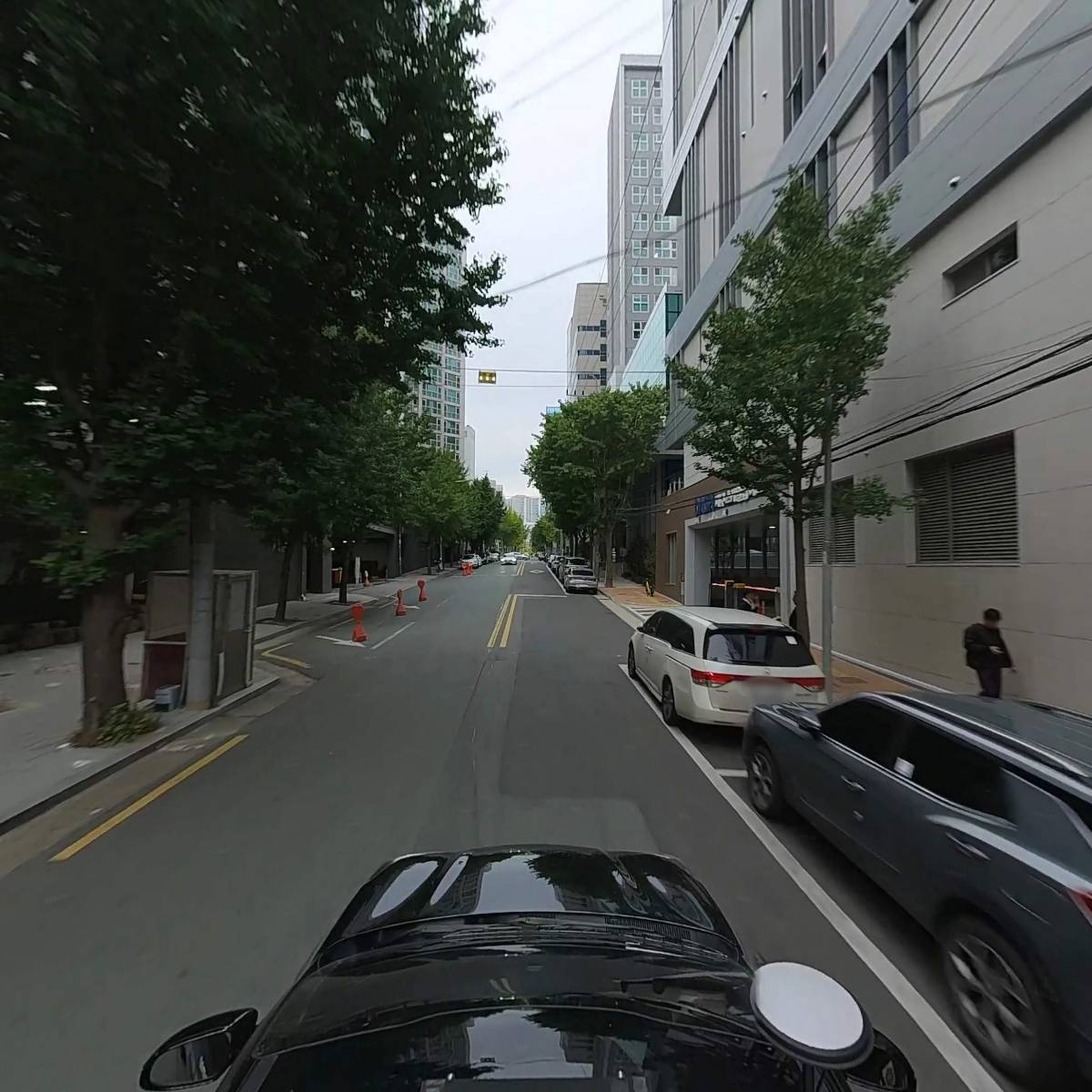 세이너스_4
