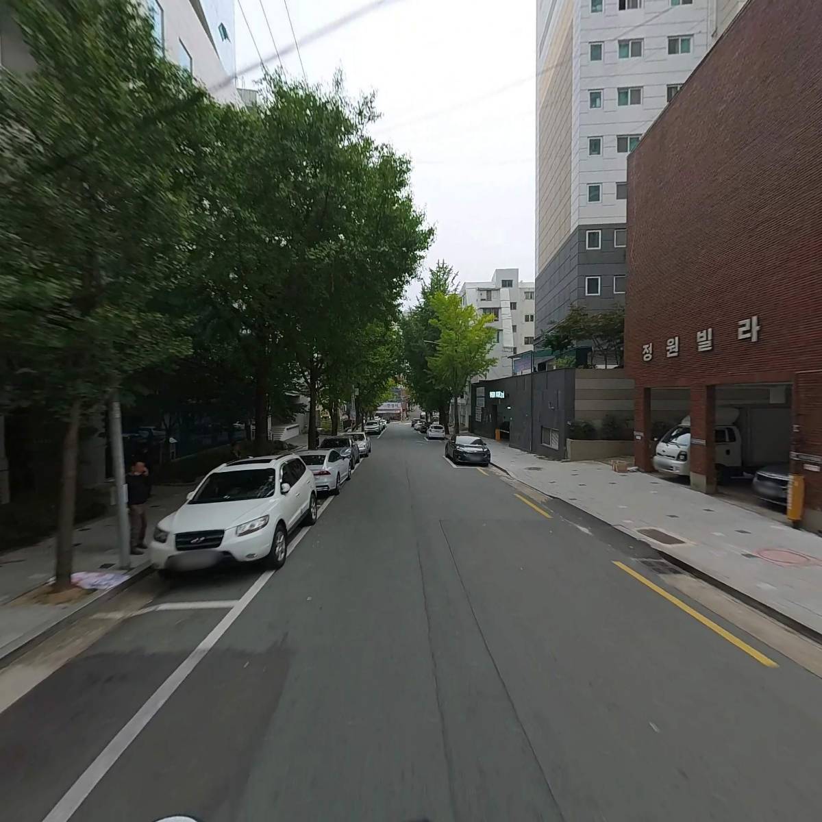 세이너스_2