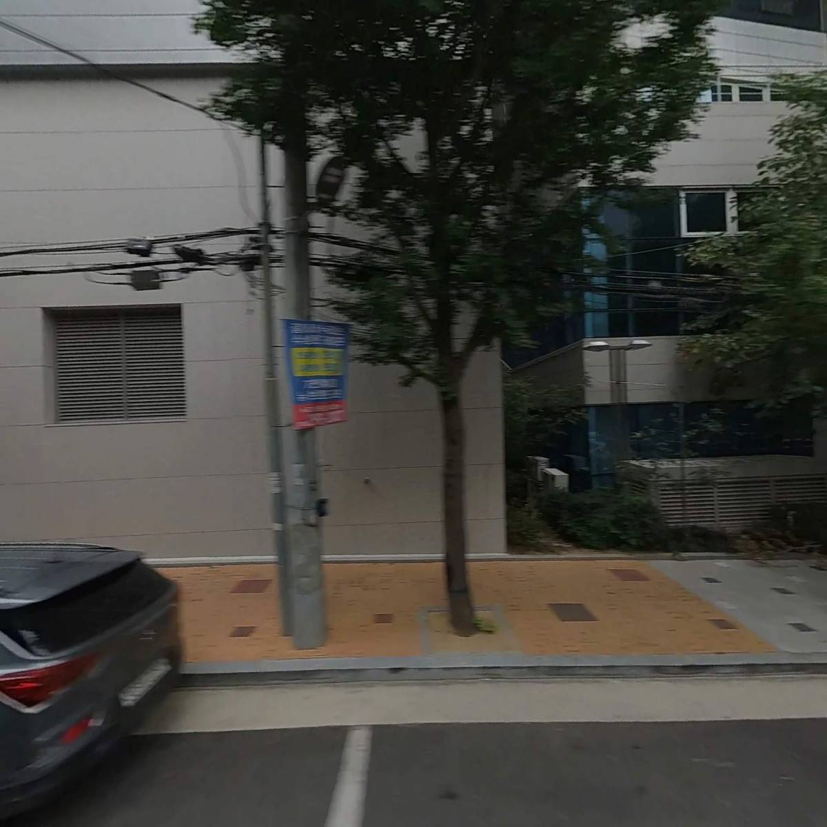 세이너스