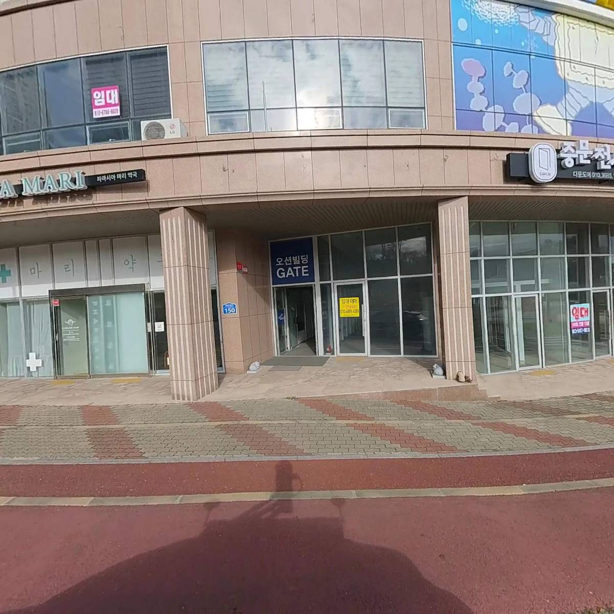 핀다의원