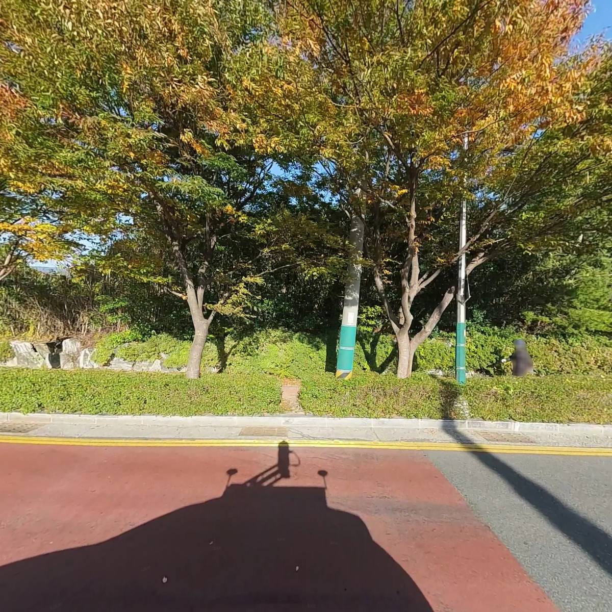 대박이네
