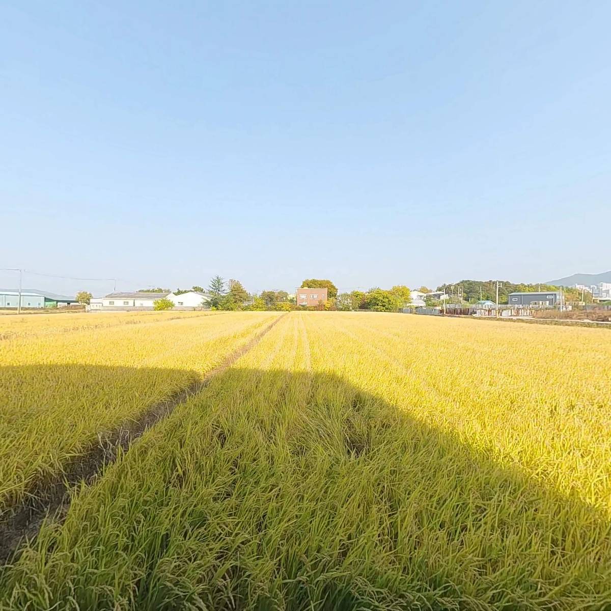 하이쿨링_3