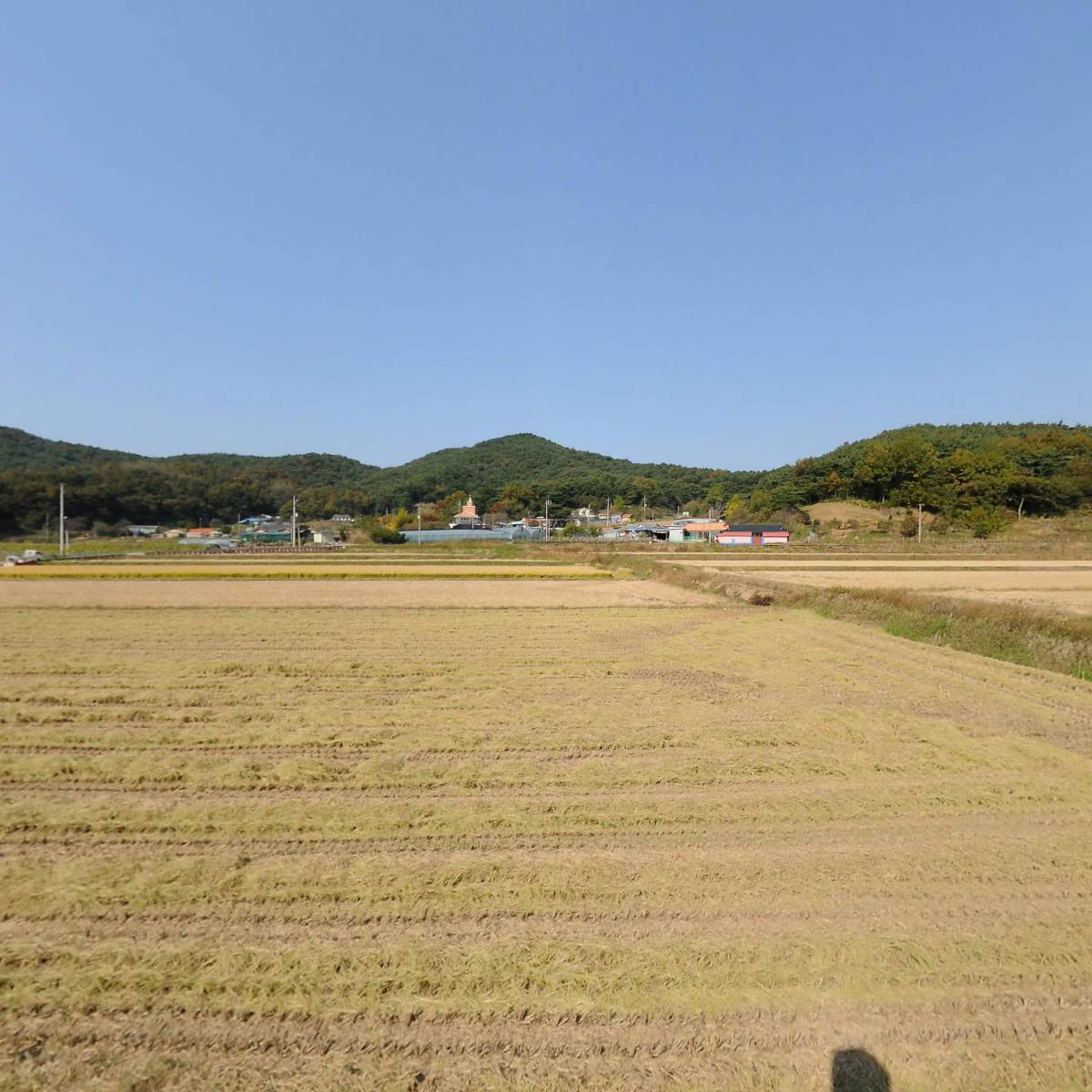 농업회사법인 주식회사 양지팜_3