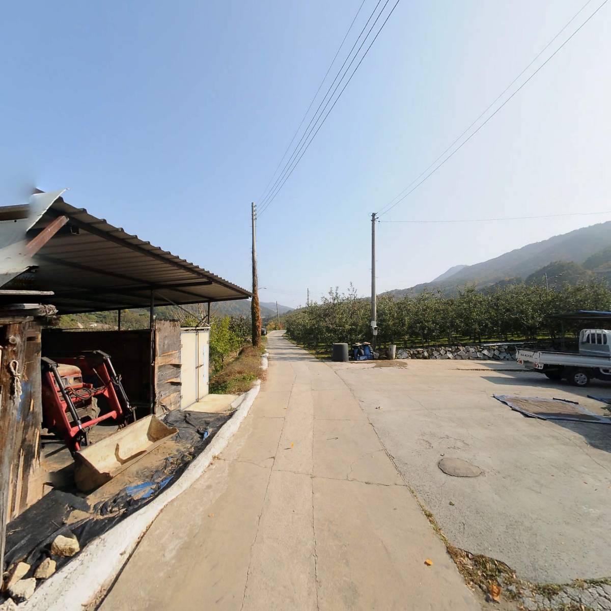 황금봉산삼농원_2