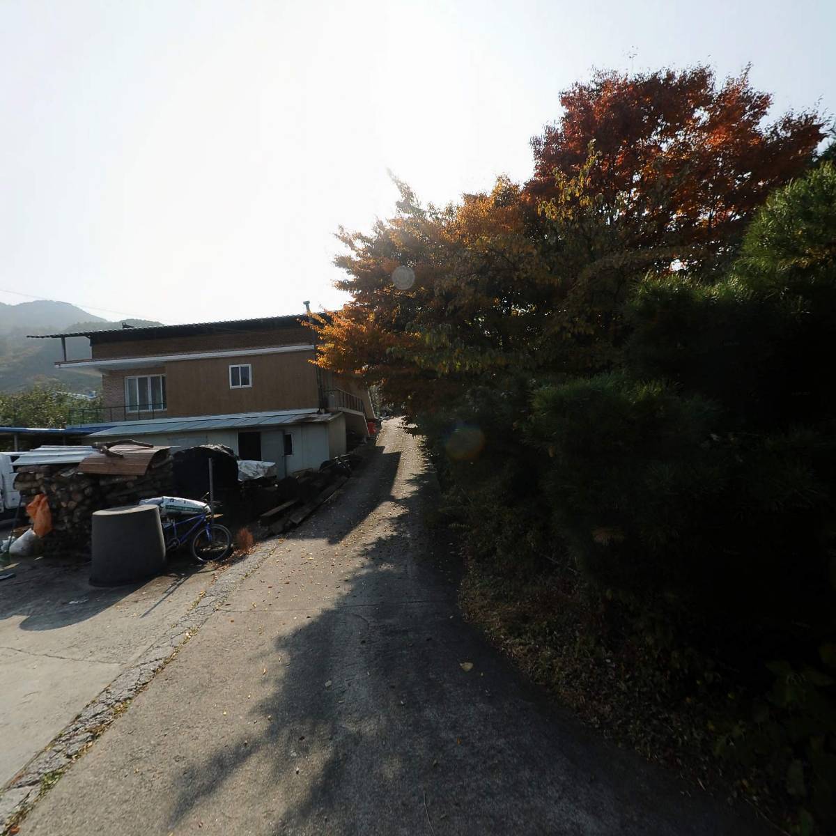 황금봉산삼농원_3