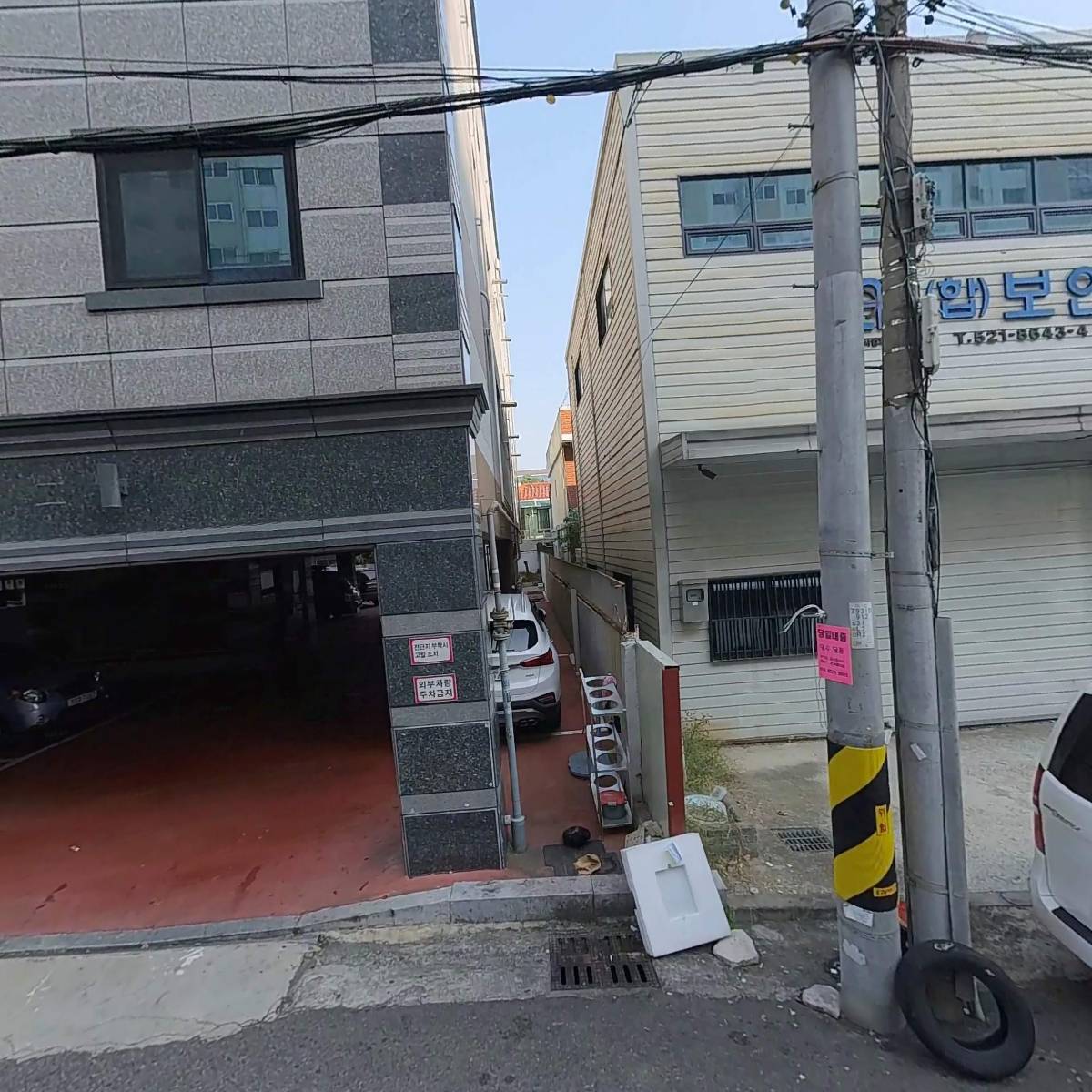 일루스터