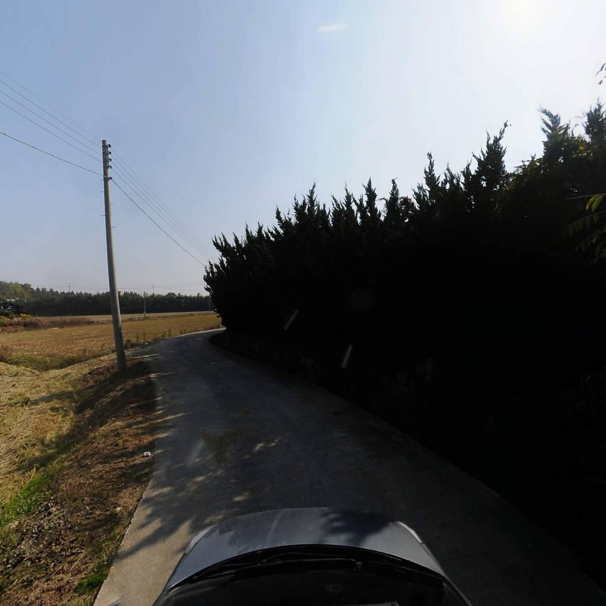 한솔농장_4