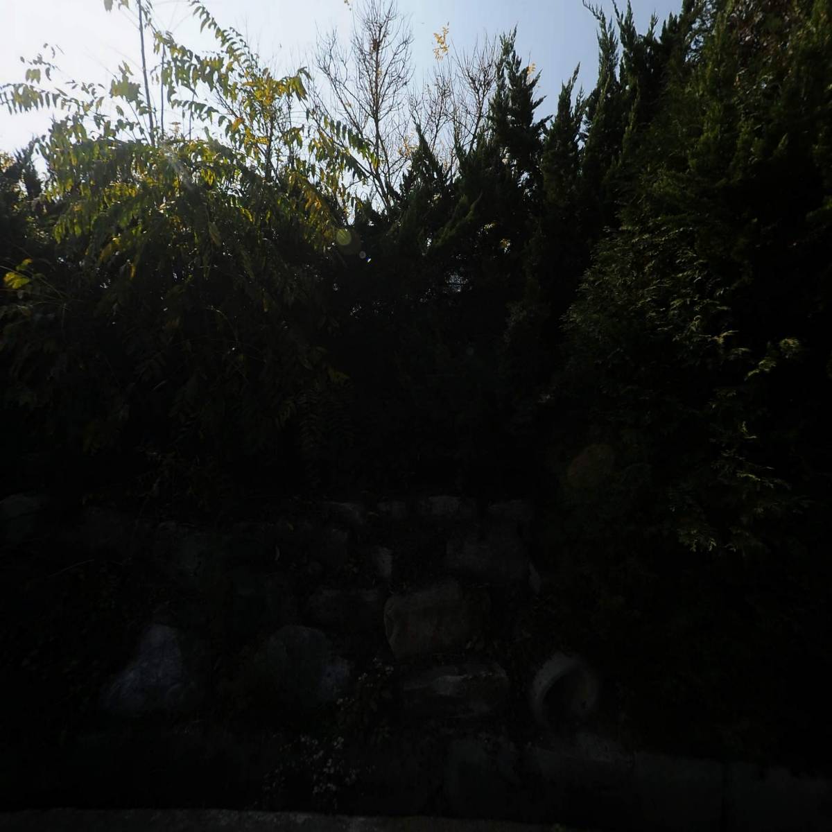 한솔농장
