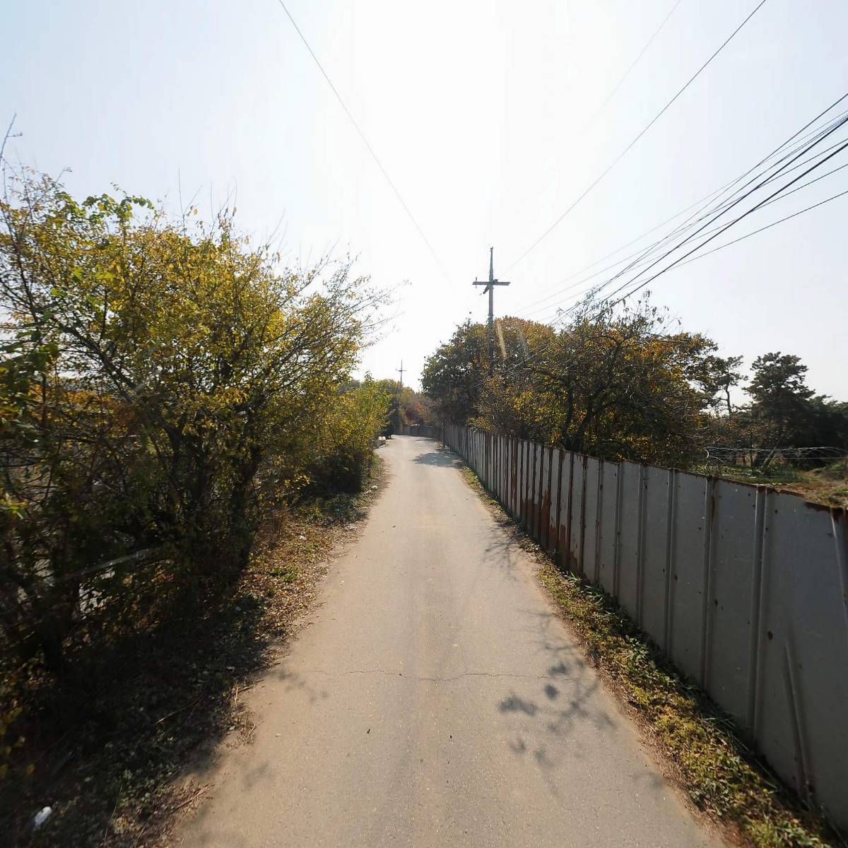 새생명농산영농조합법인_2