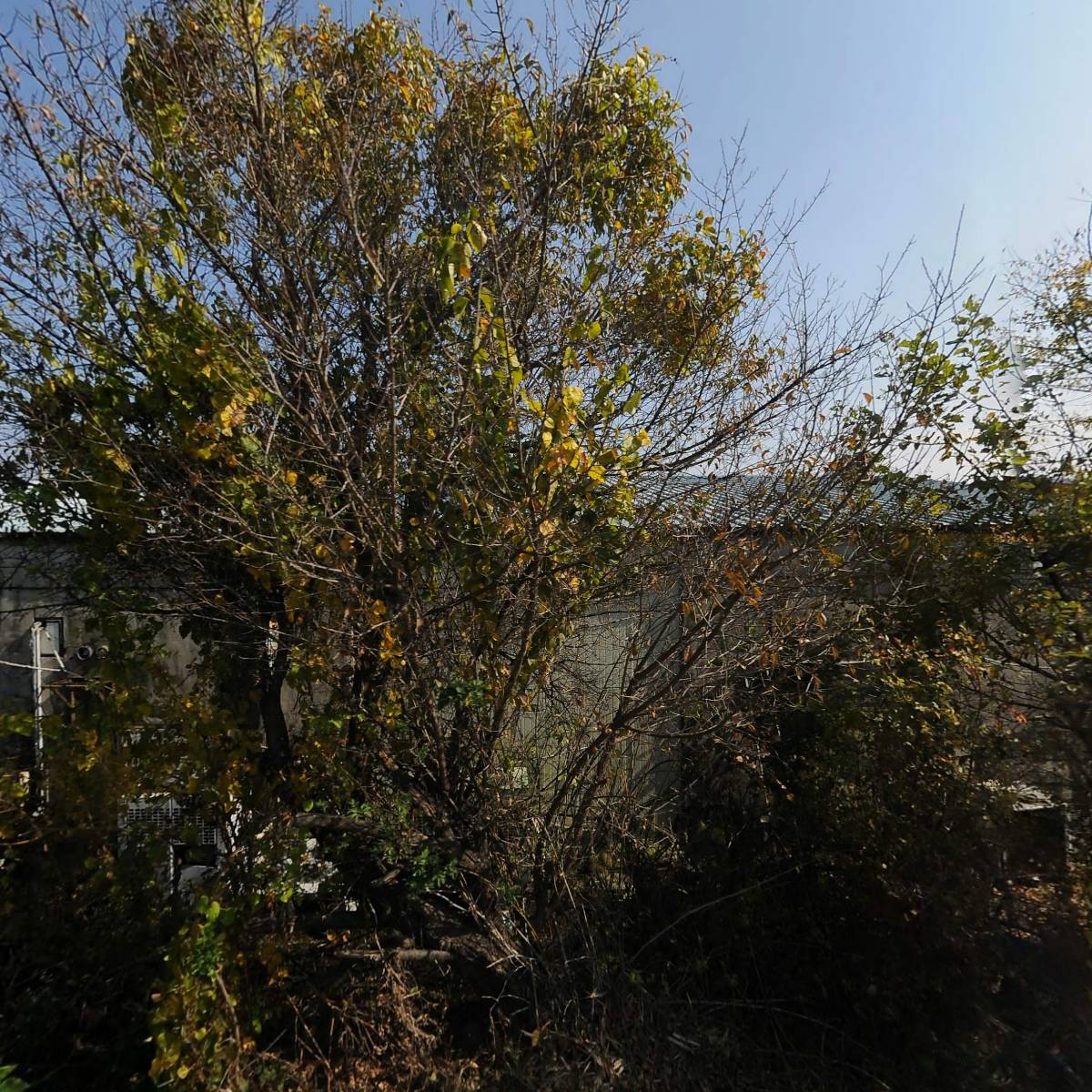 새생명농산영농조합법인