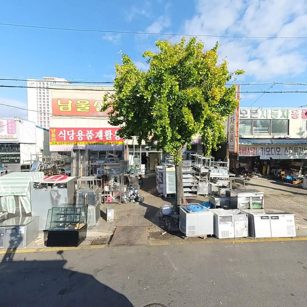금성종합수산